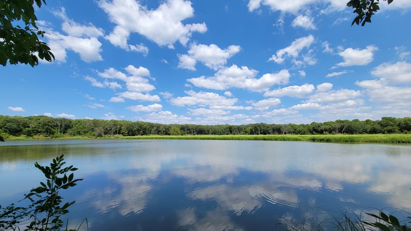 The Campgrounds Lost Their Peaceful Character