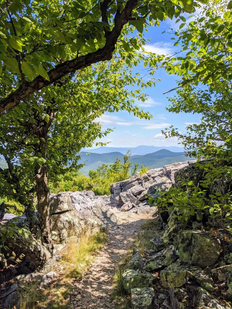 Why Families Love This Trail