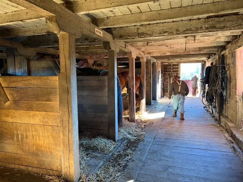 Understand Sustainable Practices That Modern Farms Are Rediscovering