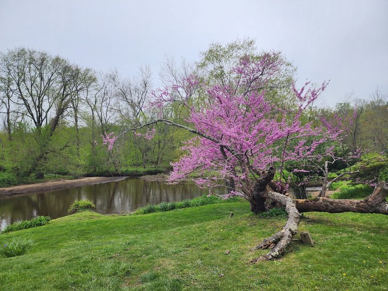 Crosswicks Creek Trail