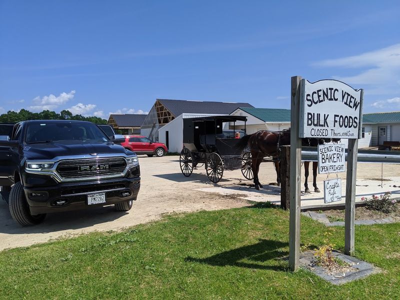 Scenic View Bulk Foods