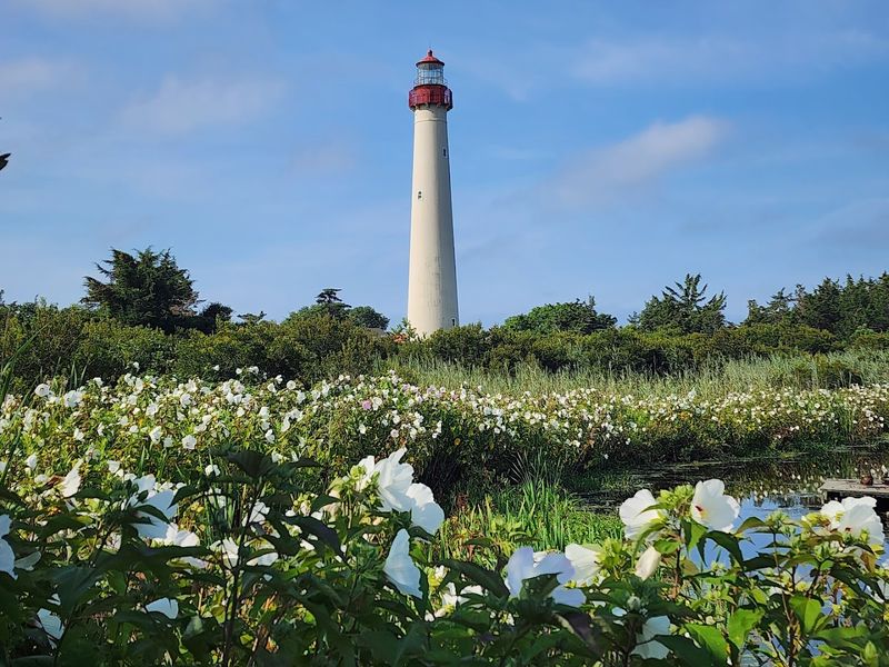 Cape May Point State Park Right Next Door