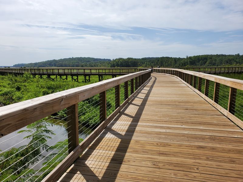 Accessible Design Welcomes Everyone