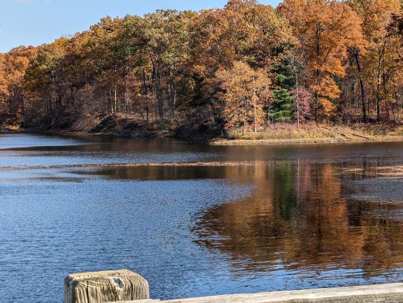 Rich History Dating Back to the 1930s