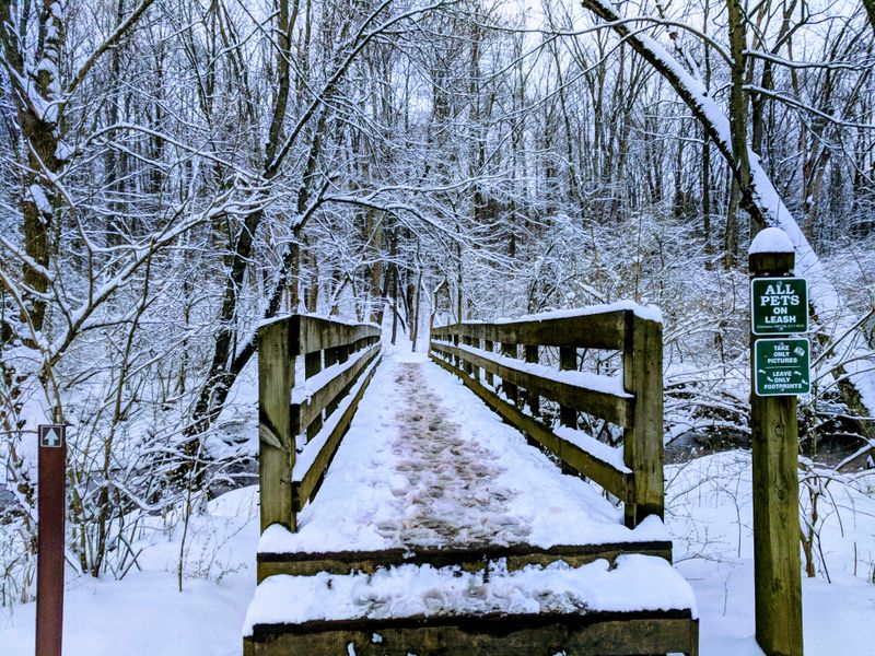 Year-Round Beauty and Activities