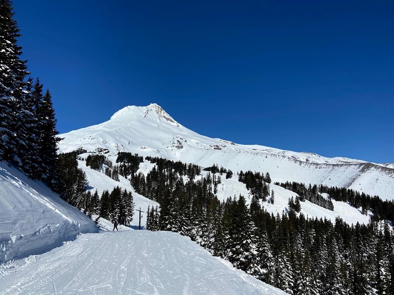 Gateway to Mount Hood National Forest Trails