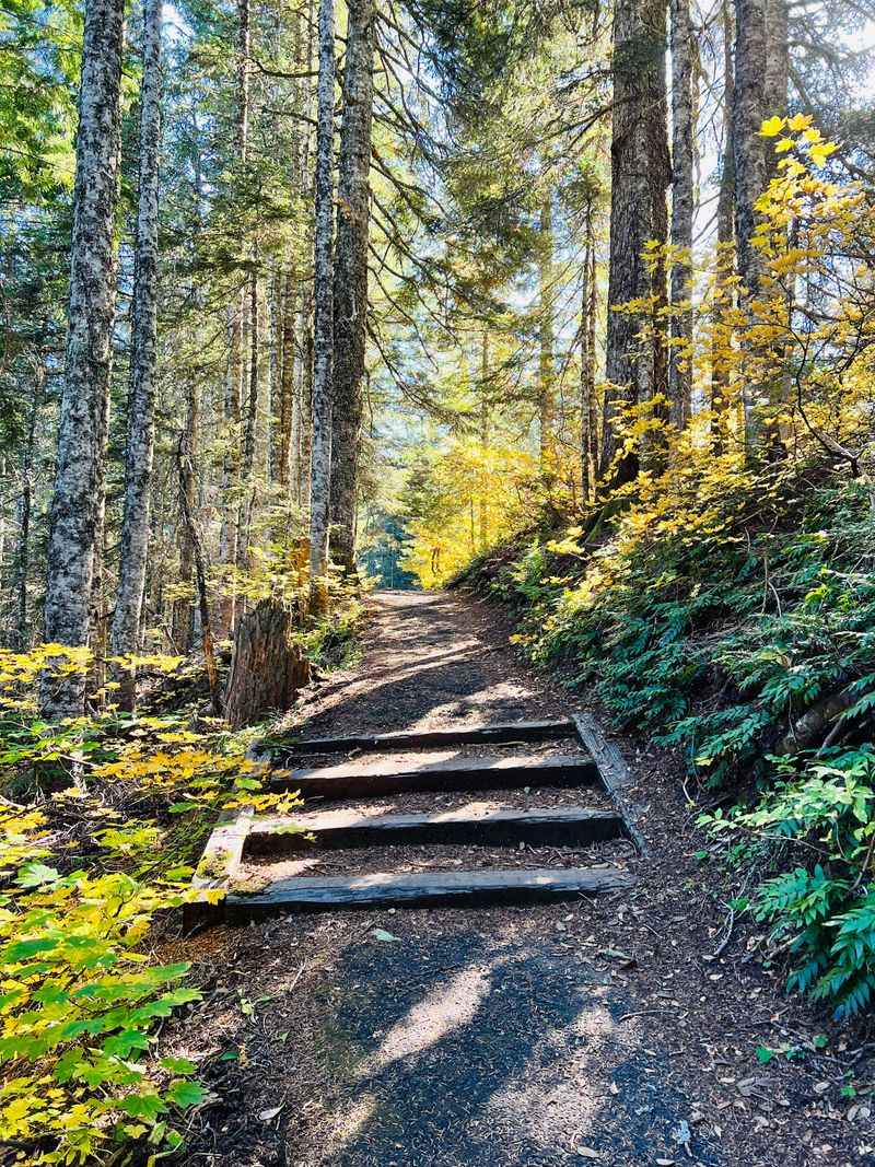 Seasonal Access and Timing