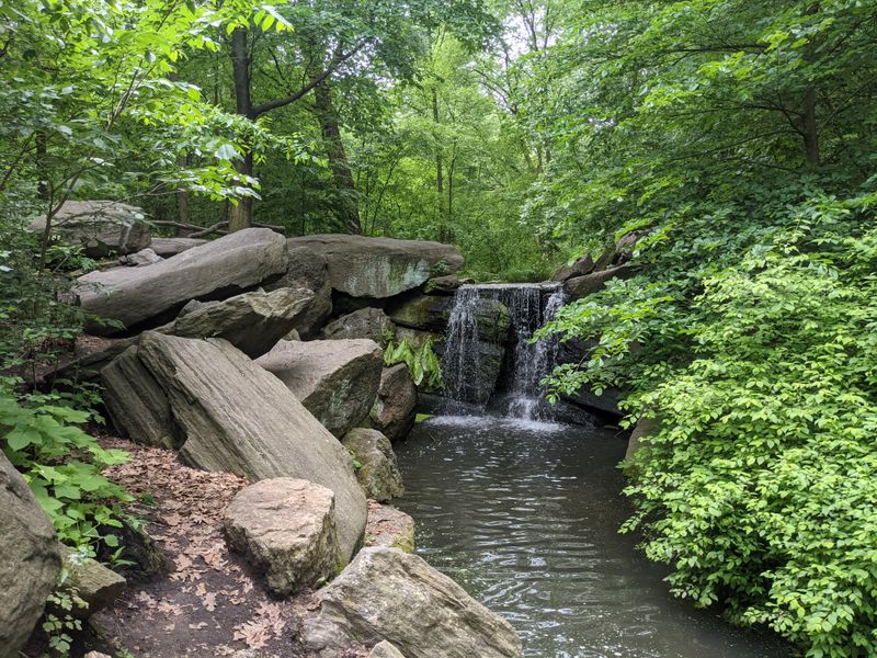 Central Park Mid-Loop Congestion Vs. North Woods Central Park Mid-Loop Congestion Vs. North Woods