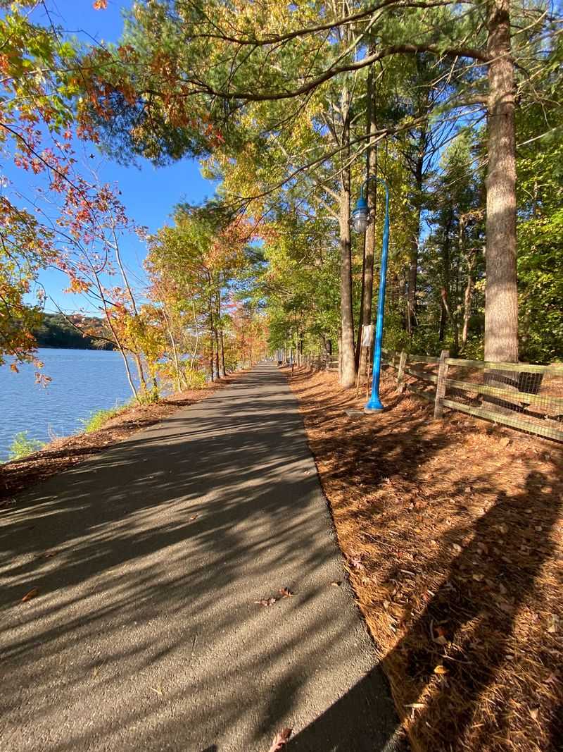 A Creek-Side Setting That Enhances the Magic