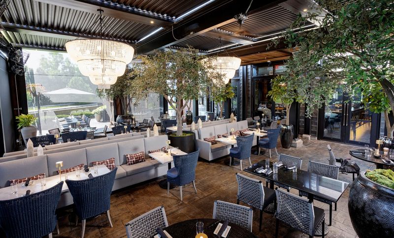 Celebration-Worthy Atmosphere Without Stuffiness