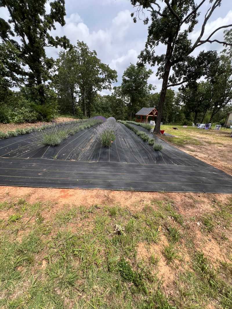 A Peaceful Escape from Urban Oklahoma