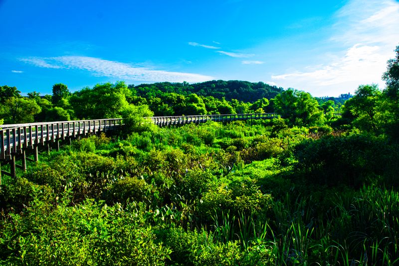 Seasonal Transformations Keep Things Interesting