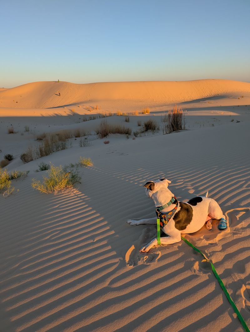 Family-Friendly Fun That Creates Lasting Memories