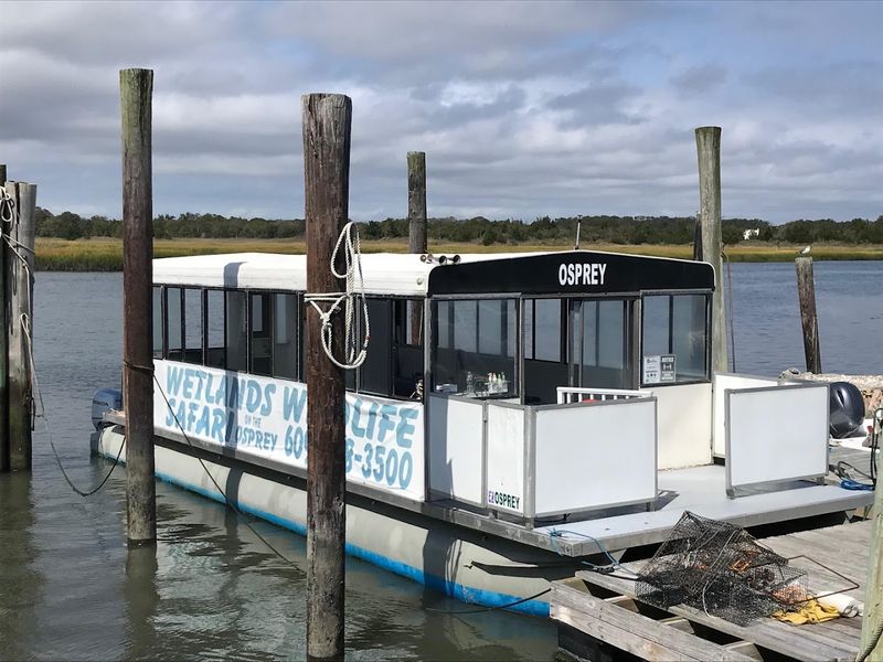 Booking Tips and What to Expect