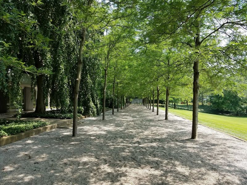 Dan Kiley's Garden Design That Redefined Outdoor Space