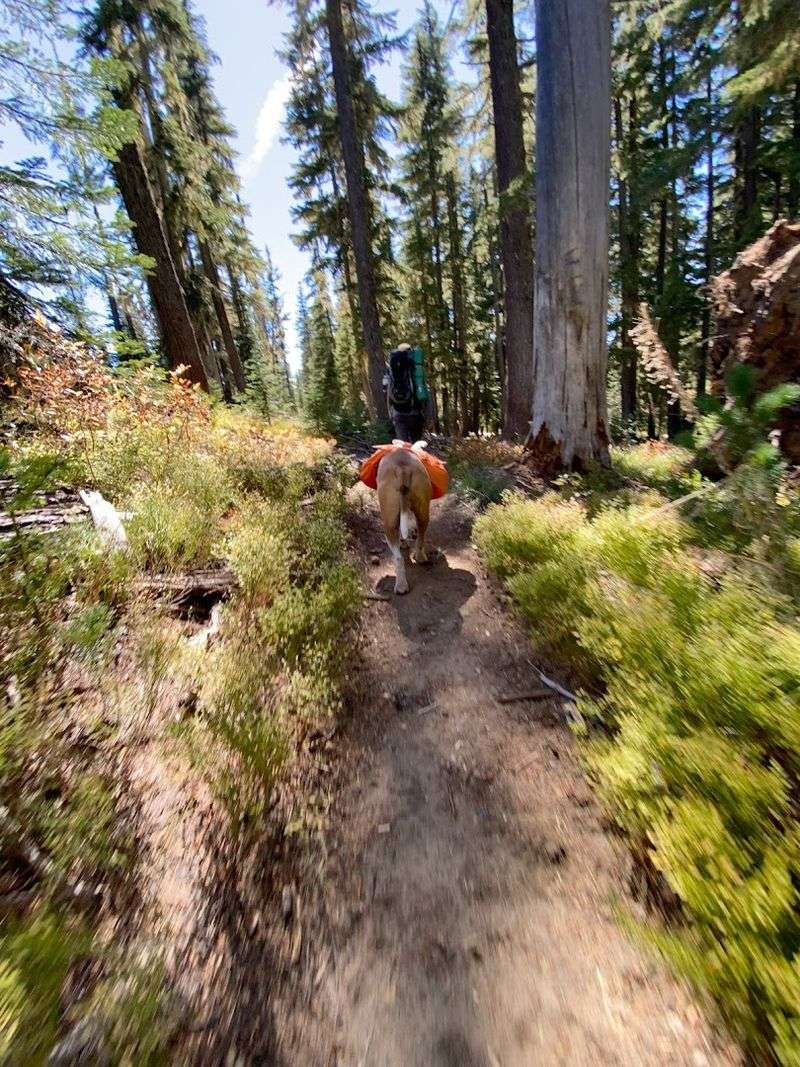 Multiple Trailheads Offer Route Flexibility