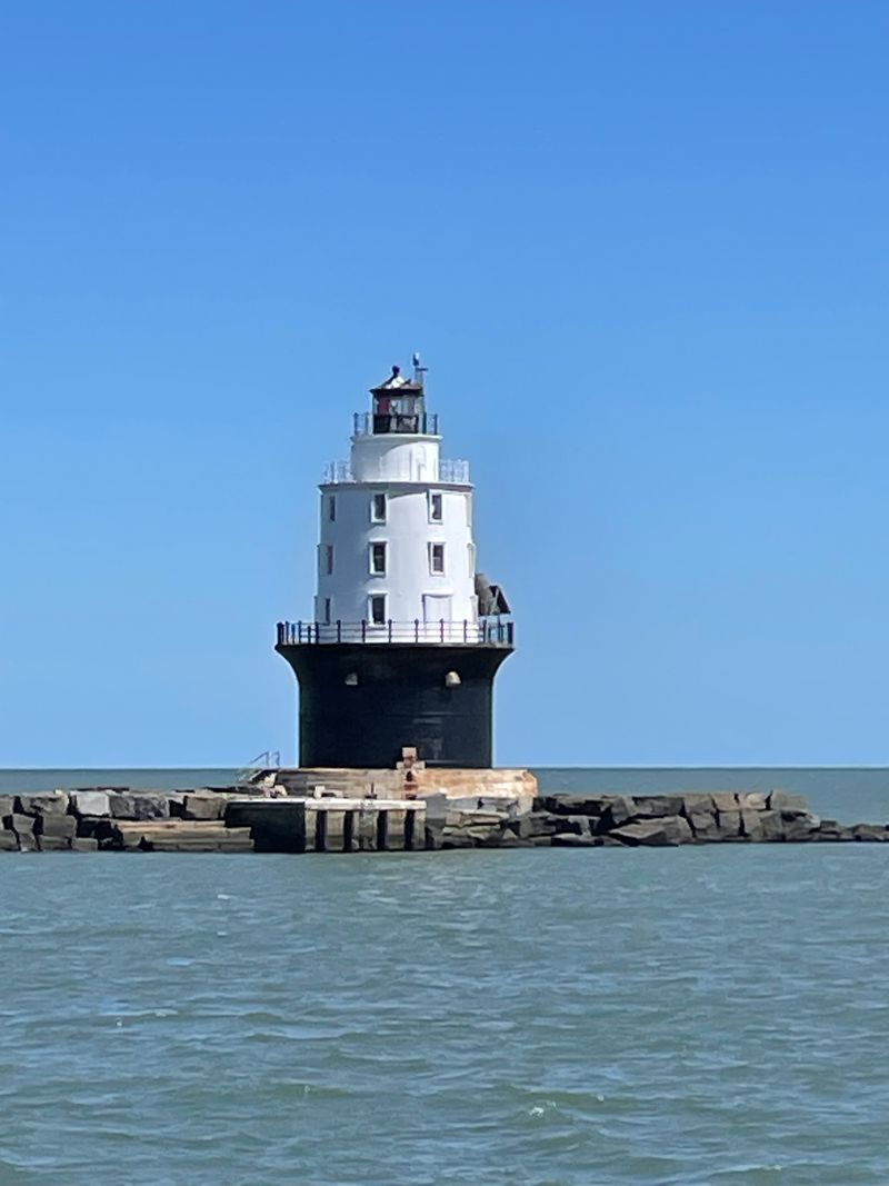 Educational Tours Beyond Standard Whale Watching