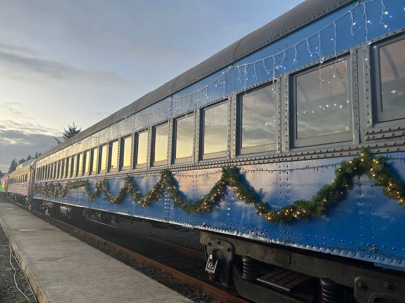 Specialized Holiday and Themed Trains Create Unique Experiences