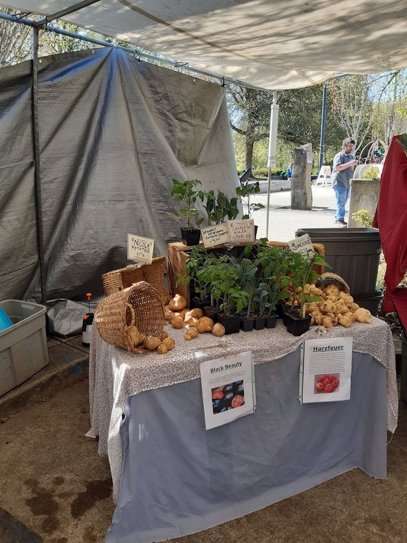 The Grain Guy, Sprouts Stand, and Other Unique Vendors You Won't Find Everywhere