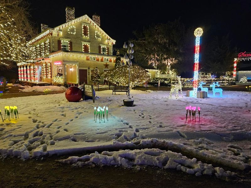 Seasonal Transformations Beyond Spring Tulips