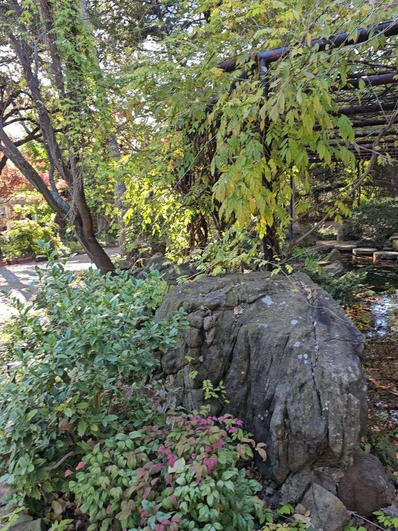 A Hidden Woodland Trail Extension