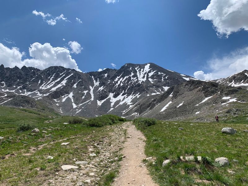 Kid And Dog Moves That Prevent The Wandering Drift