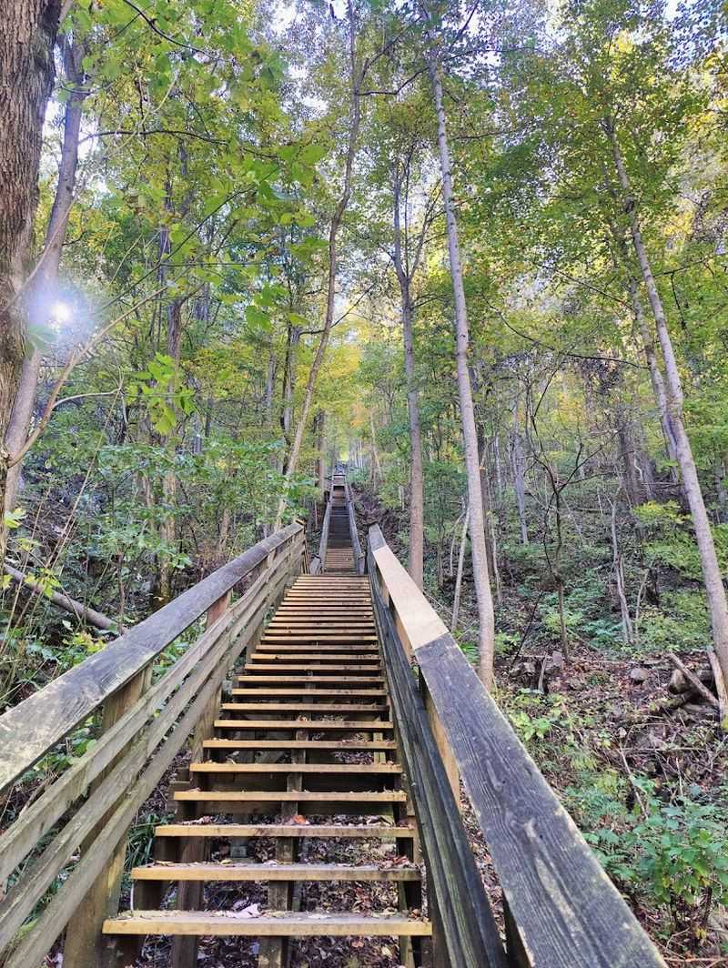 Passing Crowds Without Stepping Off Trail Like A Domino Effect