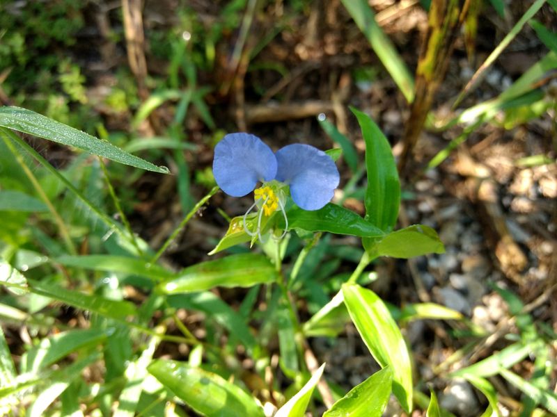 Seasonal Transformations Keep It Fresh
