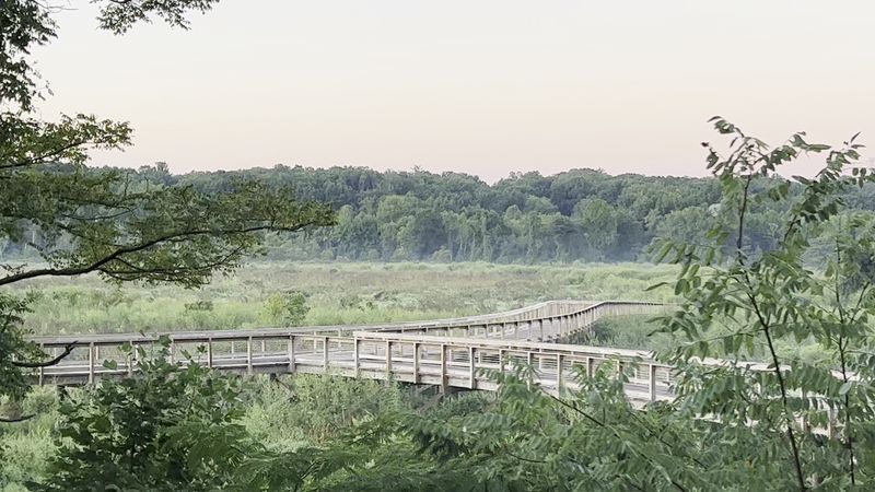 Peaceful Escape From Urban Chaos