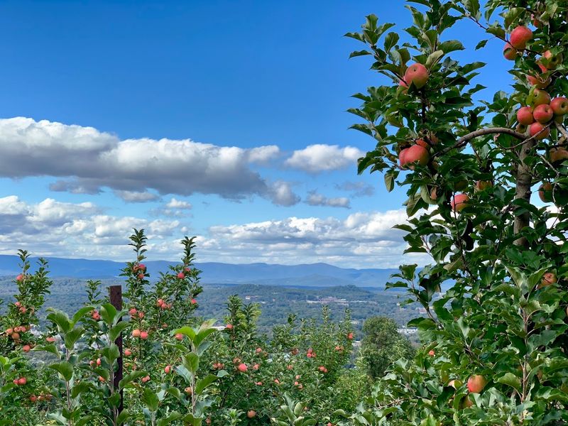 Views That Make You Forget Your Phone Exists