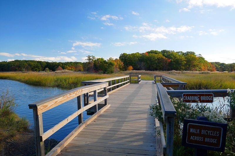 Fishing Hooks Creek for Peaceful Solitude