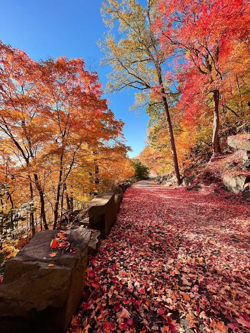 The Palisades Scenic Byway Drive Leading To The Lookout