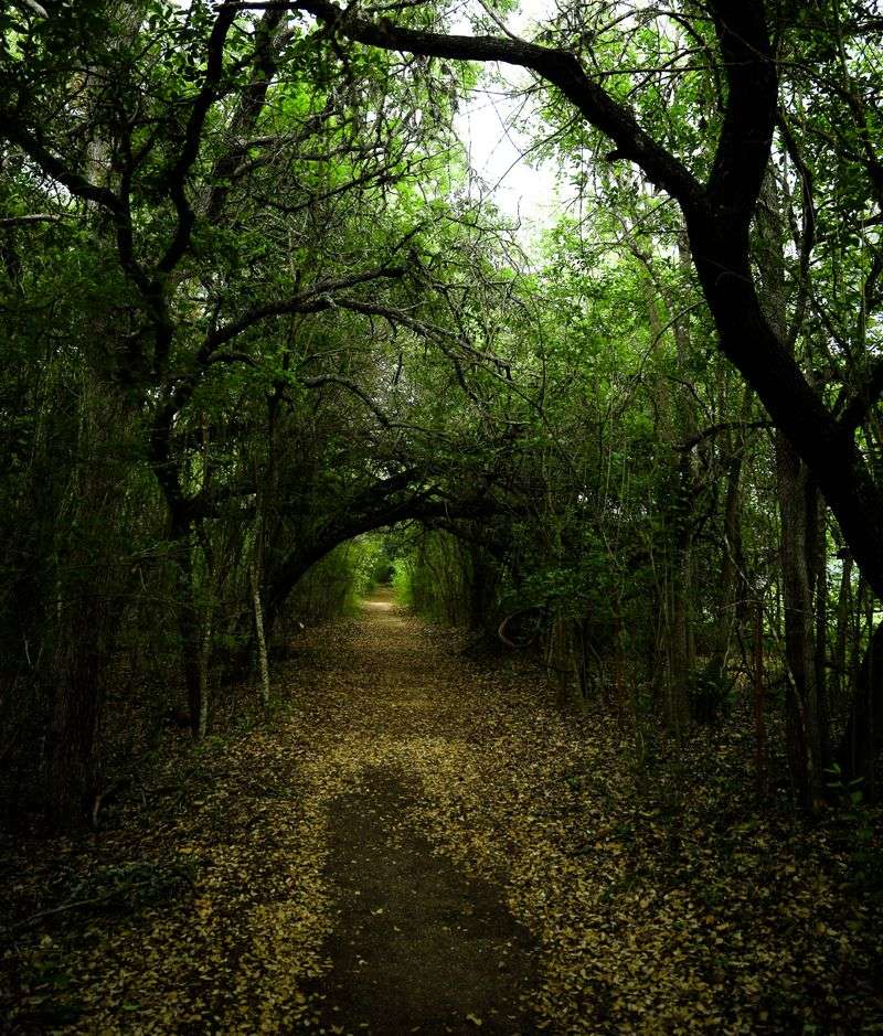 Exploring Downtown Blanco on Foot