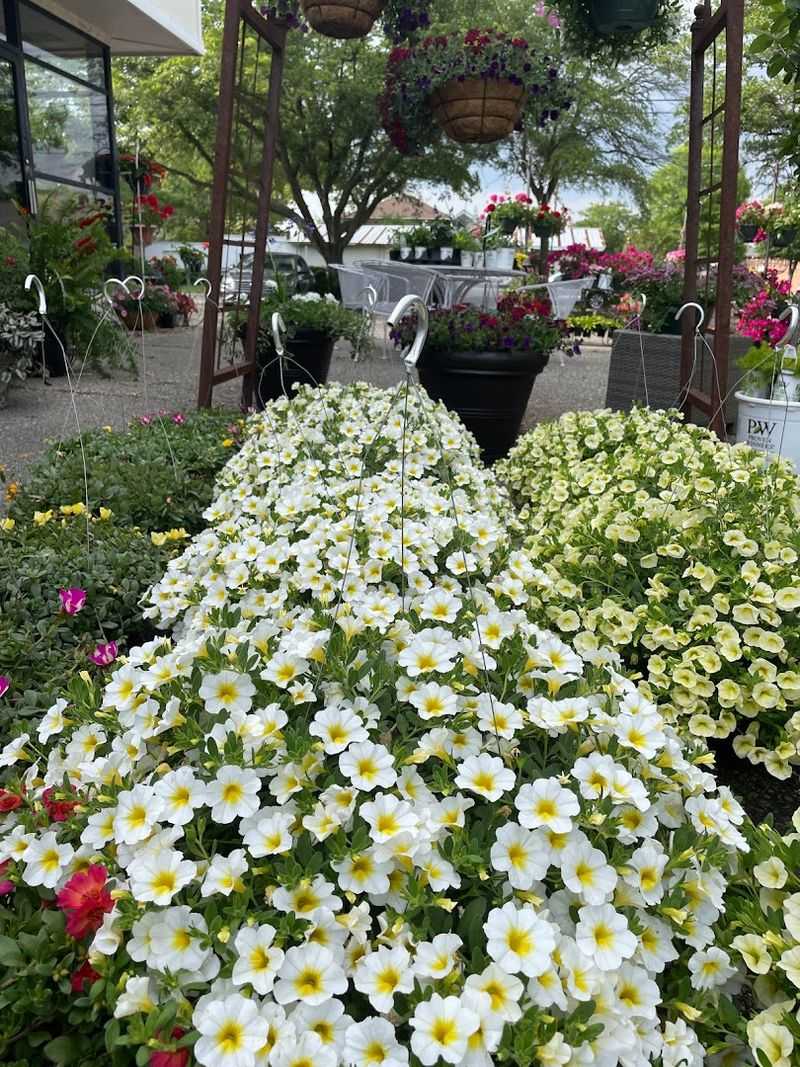 Downtown Flower Displays That Basically Beg For Photos
