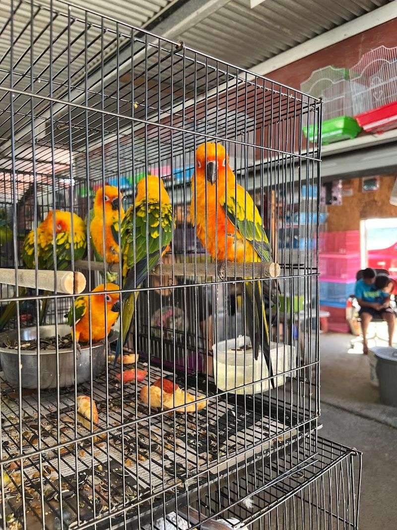 Live Animals and Plants That Add a Surprise Element