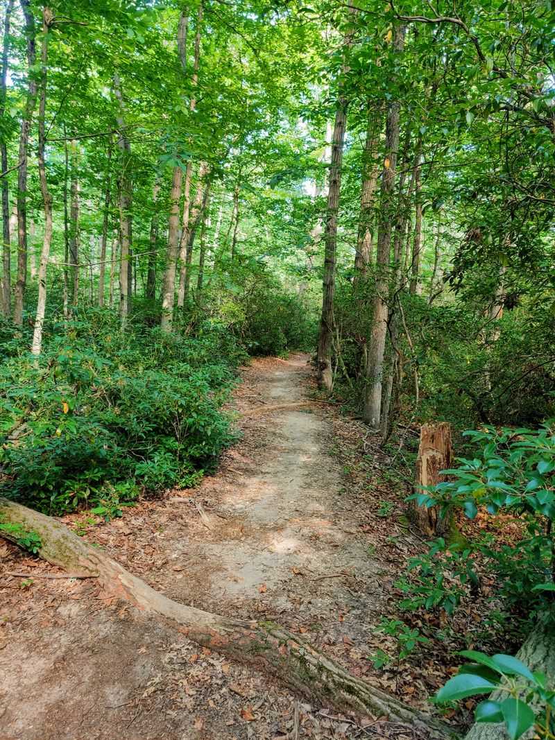 Miles of Trails Perfect for Hiking and Mountain Biking