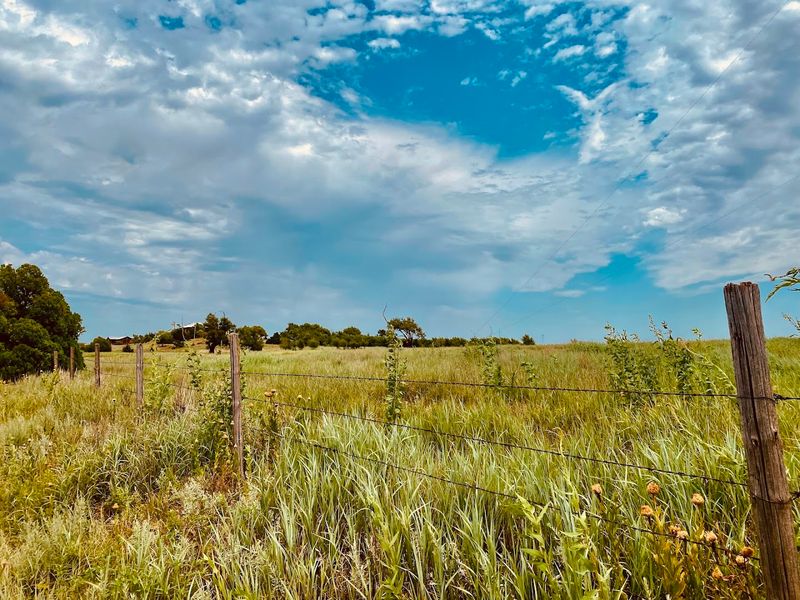 Sweet Spots Worth The Sugar Rush