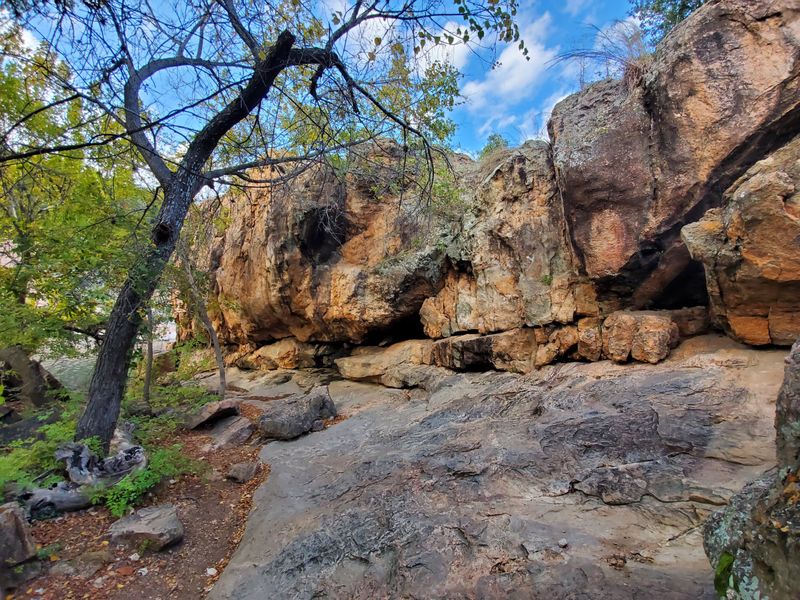 Ranger-Led Programs and Activities