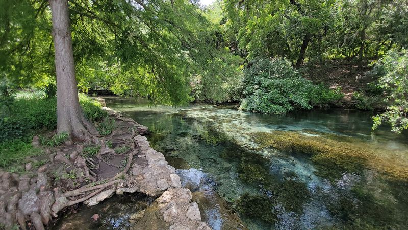 Fishing in Crystal Clear Spring-Fed Water
