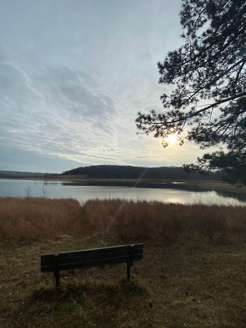 The Psychological Weight of the Reservoir's History 