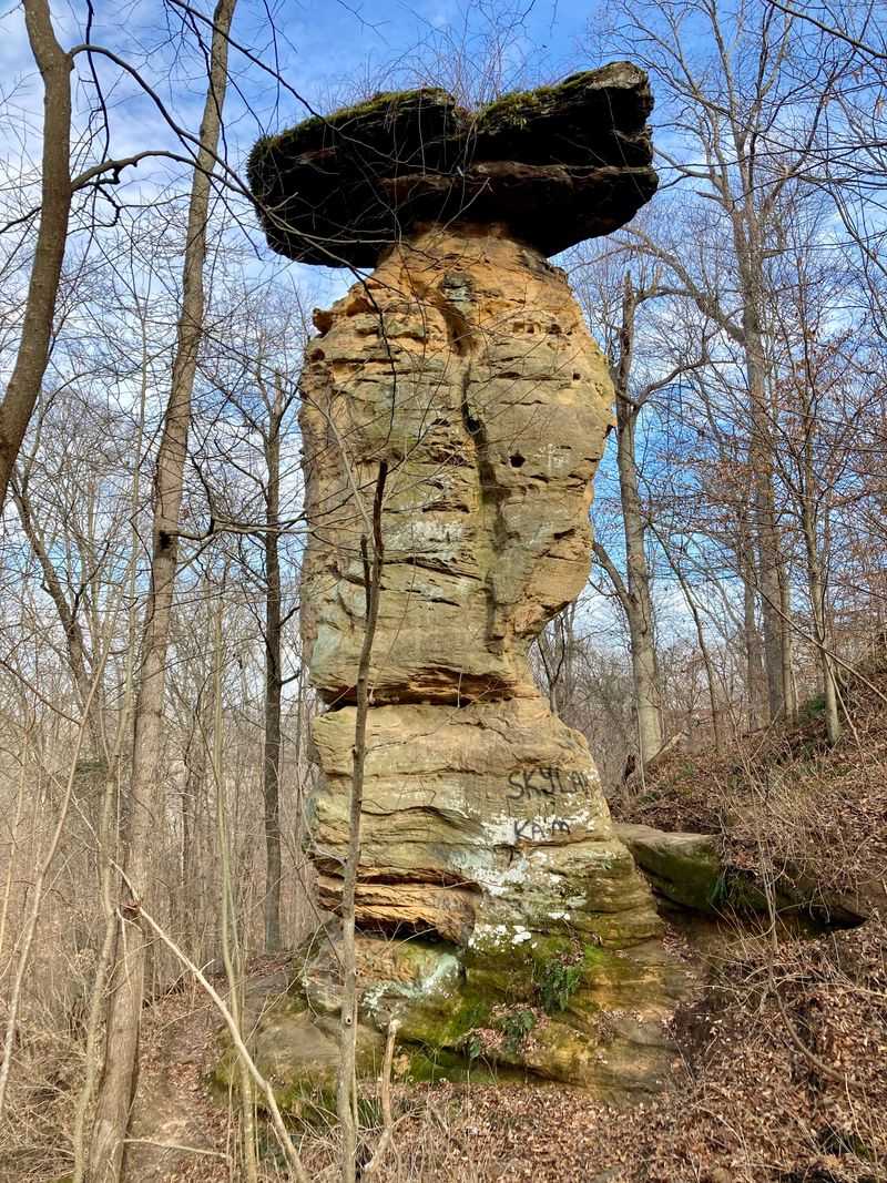 Jug Rock Nature Preserve (Shoals)