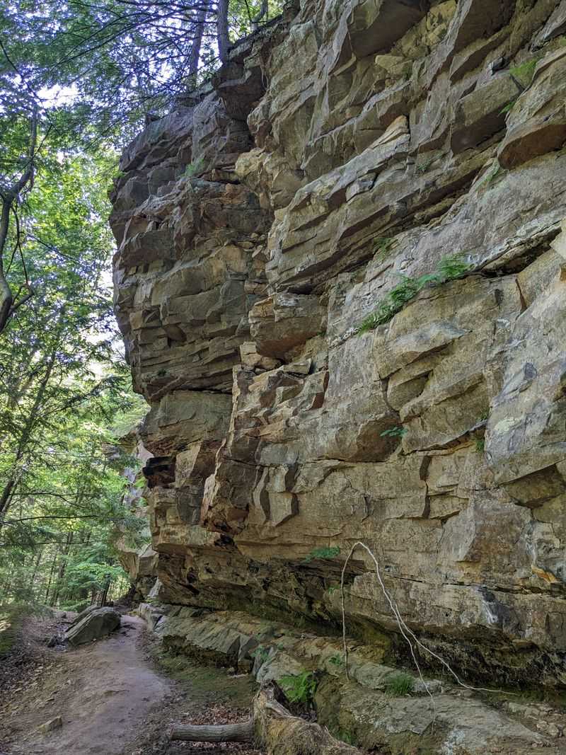 Green's Bluff Nature Preserve