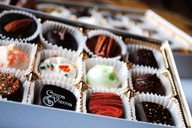 Cocoa Vienna, Vienna