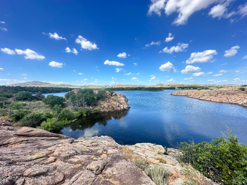 Elk Have Lost Their Natural Wariness of Humans