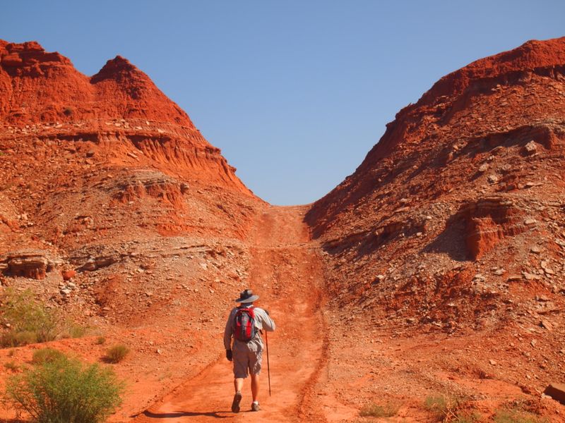 Hiking Trails That Range From Easy Strolls to Serious Treks