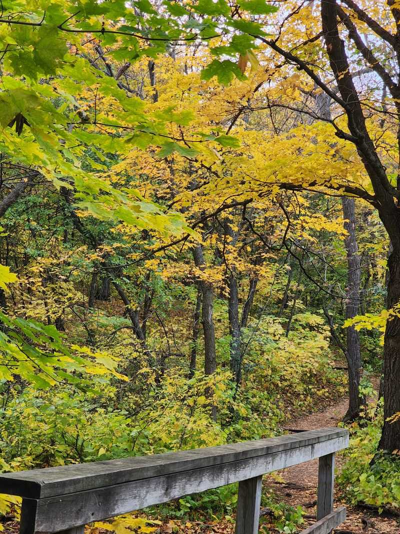 The Best Time Of Day For The Most Unsettling Quiet