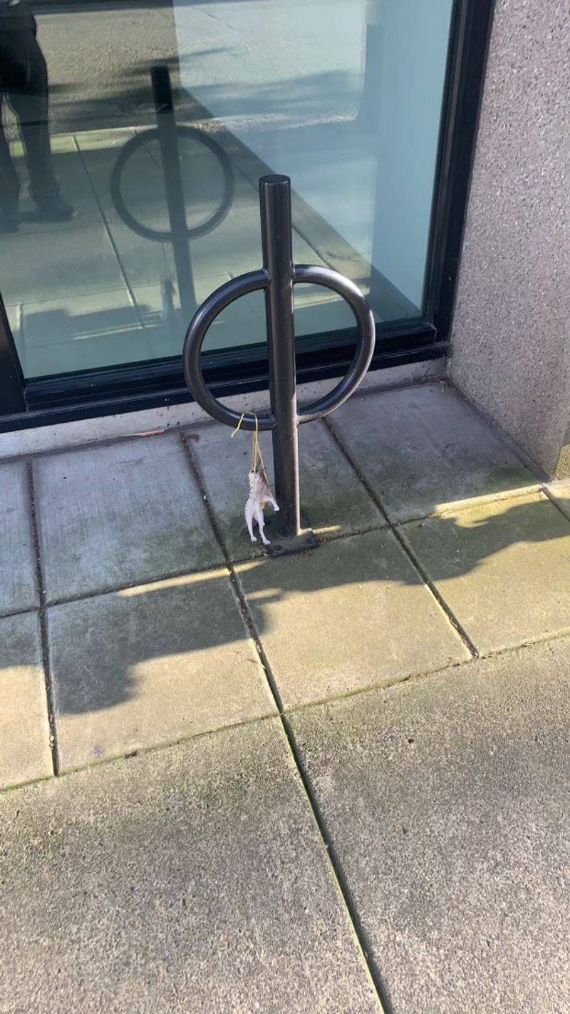 Portland Horse Rings, Portland