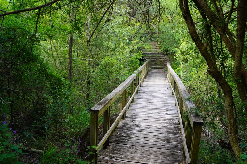 Goliad State Park: Nature Meets History