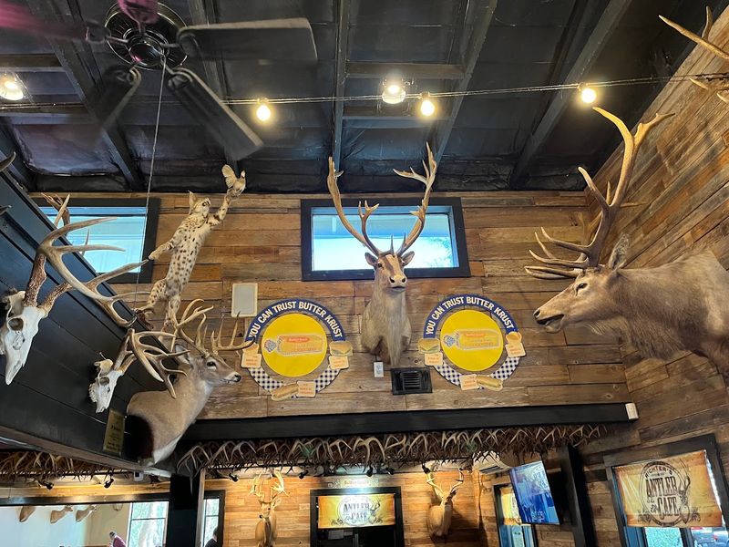 Why Richter's Antler Cafe Keeps Pulling People Back