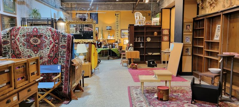 Dog-Friendly Shopping For Your Four-Legged Treasure Hunters